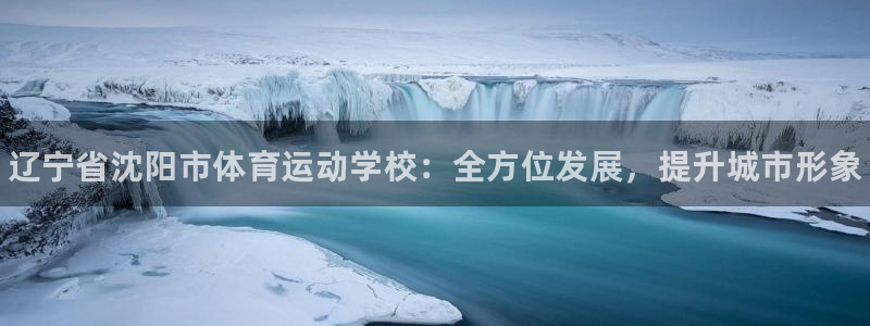 yy易游官网下载平台是正规平台吗：辽宁省沈阳市体育运