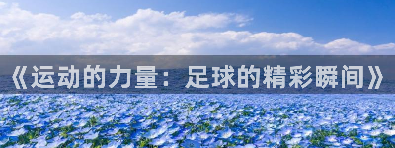 yy易游官网下载开户：《运动的力量：足球的精彩瞬间》