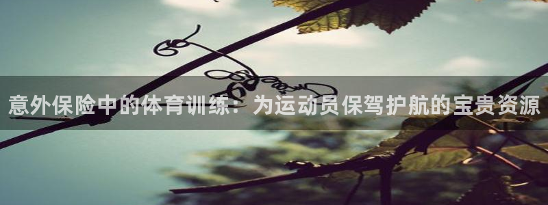 yy易游官方正版app娱乐是那个系列的台子：意外保险