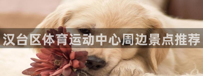 yy易游官网下载平台注册流程图：汉台区体育运动中心周