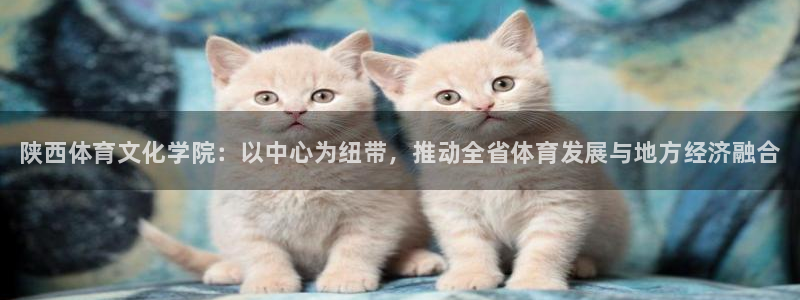 yy易游官网下载娱乐：陕西体育文化学院：以中心为纽带