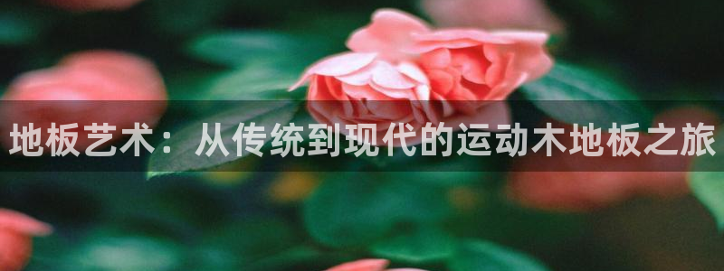 yy易游官方正版app娱乐下载：地板艺术：从传统到现