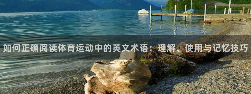 注册yy易游官方正版app：如何正确阅读体育运动中的