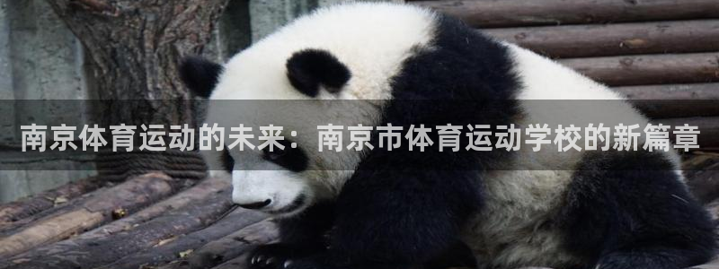 yy易游官方正版app娱乐网站：南京体育运动的未来：
