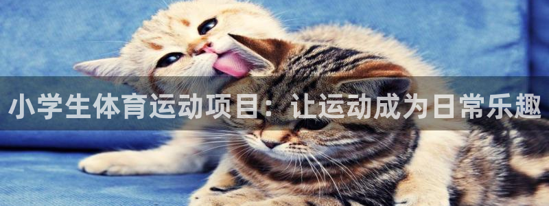 yy易游官方正版app娱乐40996：小学生体育运动