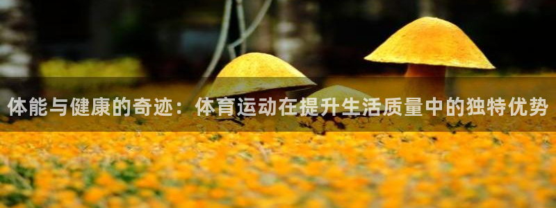 yy易游官方正版app代理：体能与健康的奇迹：体育运