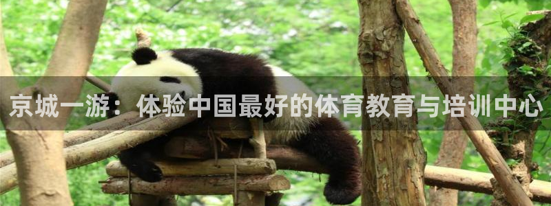 yy易游官网下载平台是正规平台吗安全吗：京城一游：体