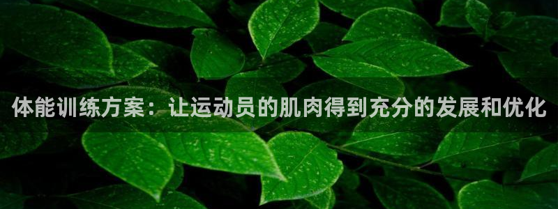 yy易游官网下载平台APP：体能训练方案：让运动员的