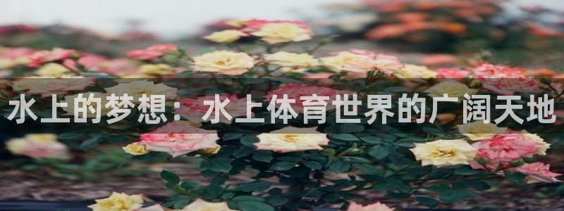 yy易游官方正版app娱乐是那个系列的台子：水上的梦