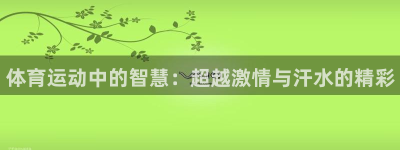 yy易游官方正版app官方：体育运动中的智慧：超越激