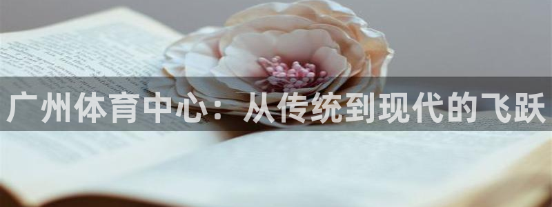 yy易游官方正版app娱乐：广州体育中心：从传统到现