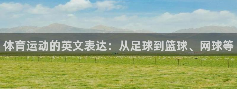 德国yy易游官方正版app集团：体育运动的英文表达：