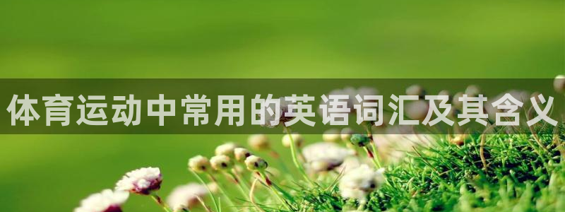 yy易游官网下载是干嘛的公司：体育运动中常用的英语词汇及其含