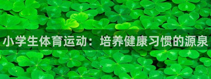 yy易游官方正版app科技：小学生体育运动：培养健康