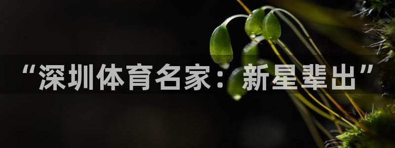 yy易游官方正版app代理：“深圳体育名家：新星辈出”
