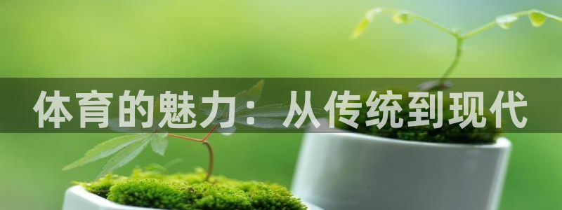 yy易游官网下载娱乐