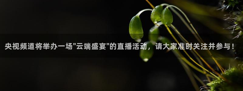 球友直播nba：央视频道将举办一场\
