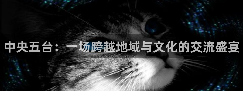 nba直播球友：中央五台：一场跨越地域与文化的交流盛宴