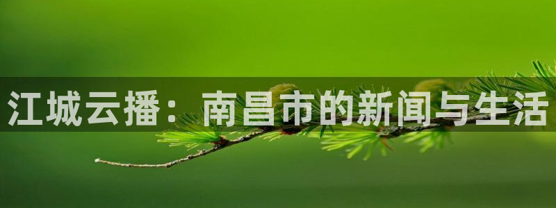 球友体育在线直播观看：江城云播：南昌市的新闻与生活