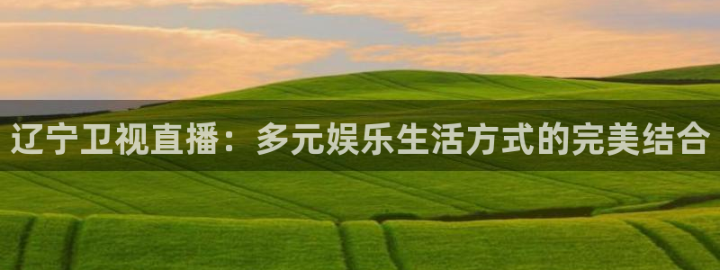 球友直播在线直播：辽宁卫视直播：多元娱乐生活方式的完美结合