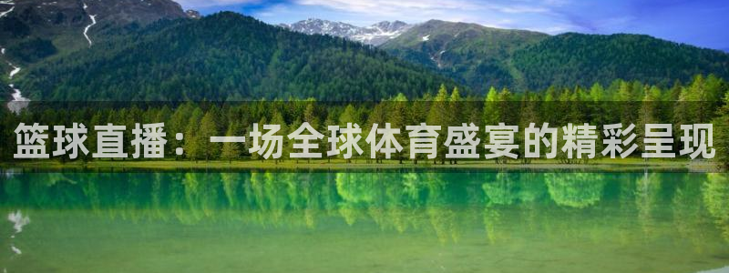 球友体育：篮球直播：一场全球体育盛宴的精彩呈现