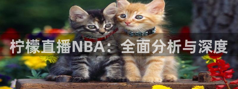 球友直播在线：柠檬直播NBA：全面分析与深度